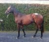 Lote 501, por Alhaarth y Antigone (Cape Cross)